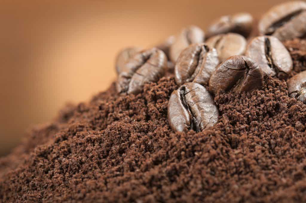 Get Rid Of Slugs And Snails With Coffee Grounds | Captain Patio