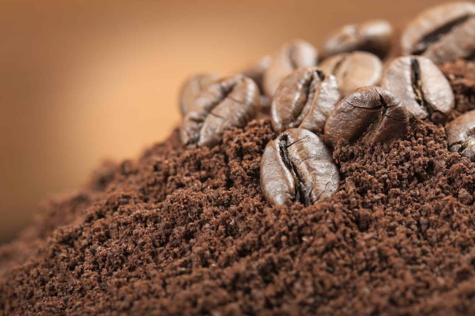 Get Rid Of Slugs And Snails With Coffee Grounds Captain Patio