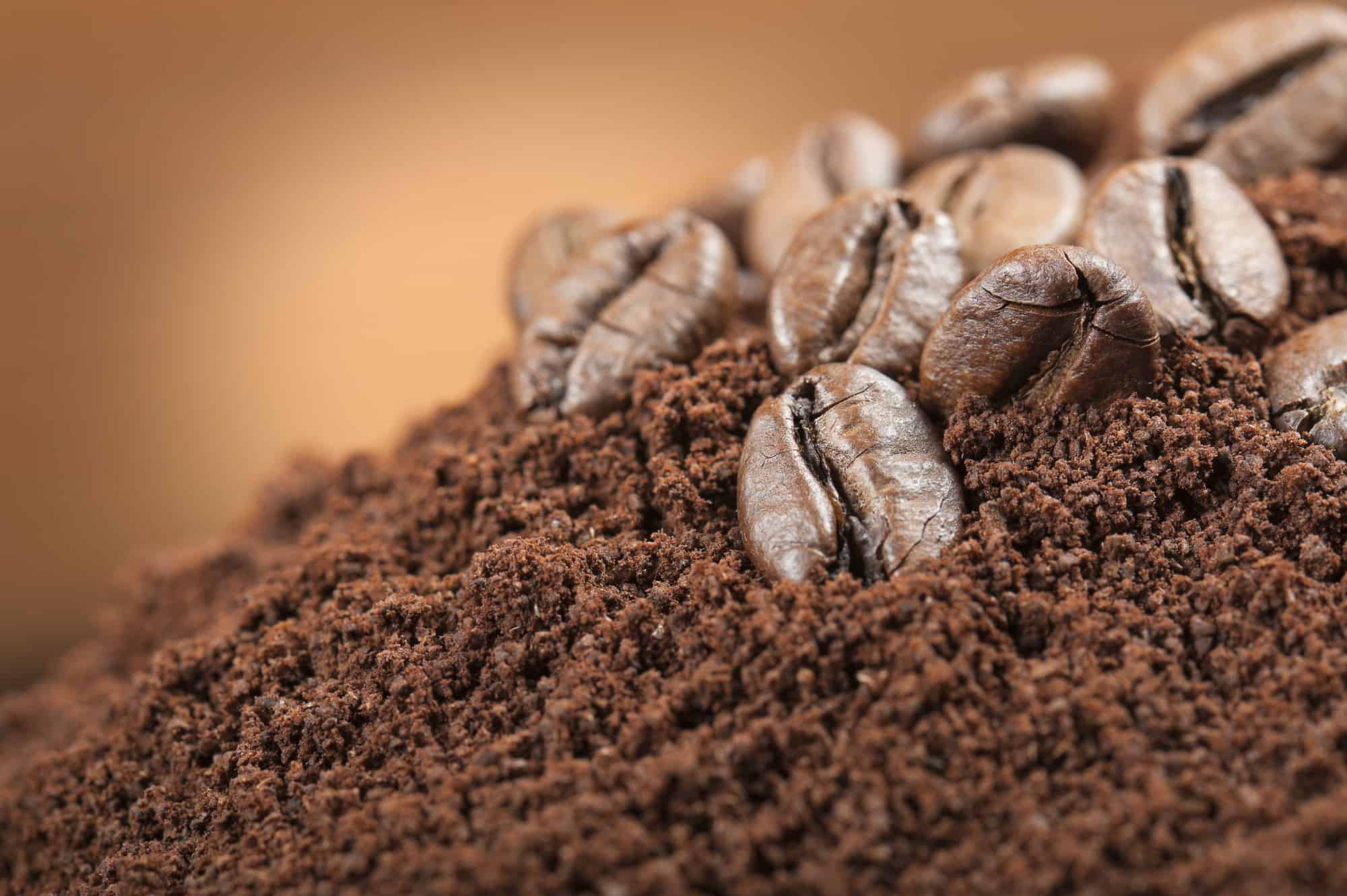 Get Rid Of Slugs And Snails With Coffee Grounds