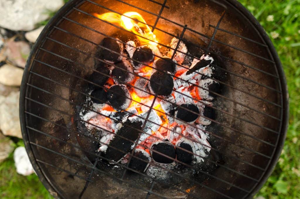 The Best Weber Grill Alternatives Of 21 Captain Patio