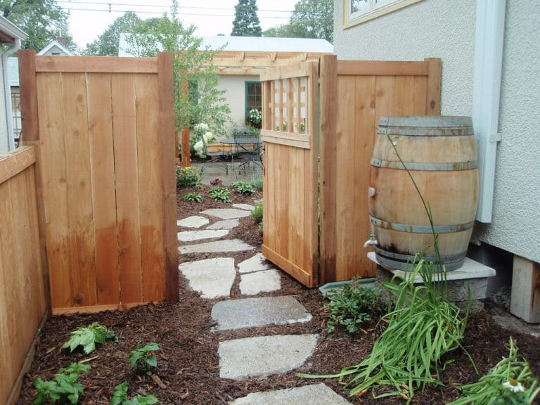 Is Rain Barrel Water Safe For Vegetable Gardens? Captain Patio