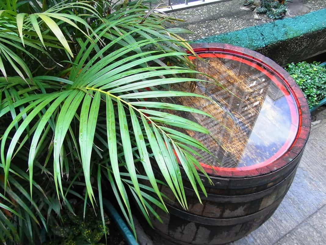 How To Fix A Leaking Rain Barrel Captain Patio