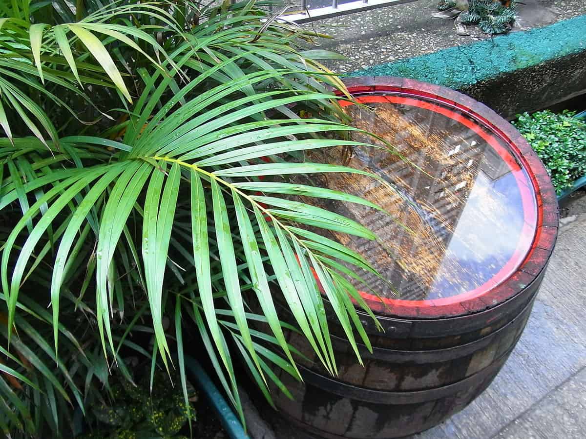 How To Fix A Leaking Rain Barrel