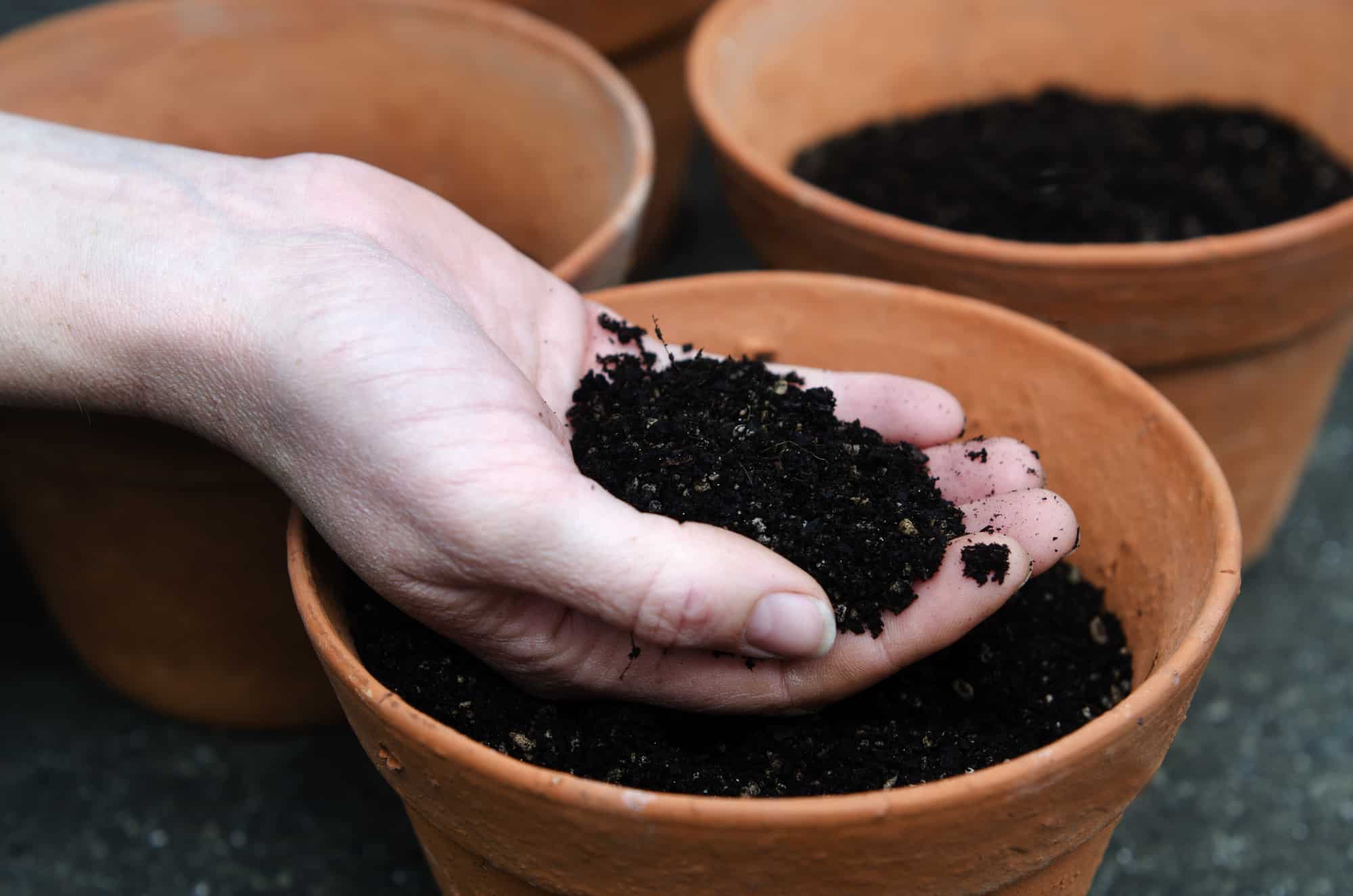 Does Potting Soil Ever Expire? How Long Will It Last?