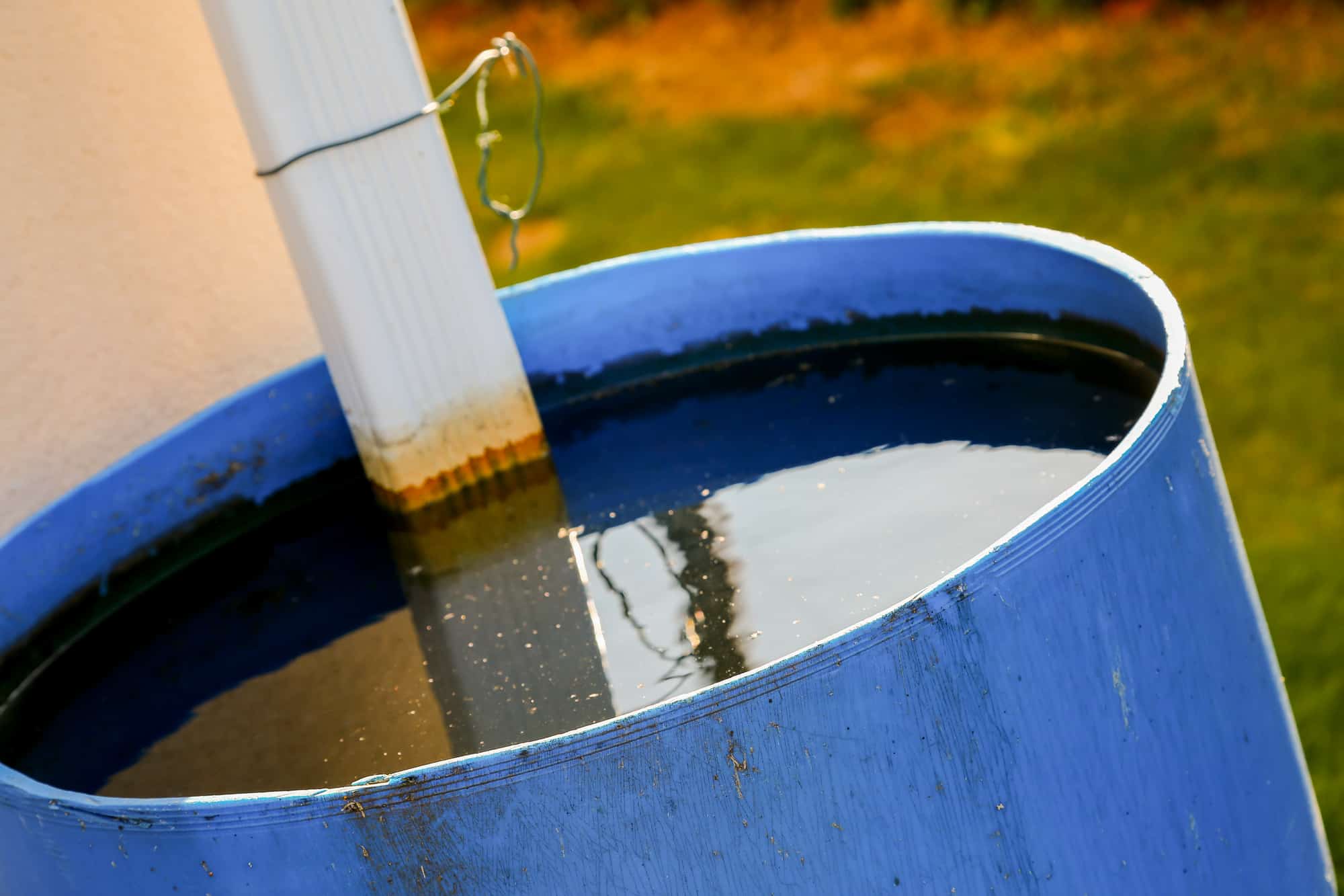 How to Keep Your Rain Barrel From Stinking