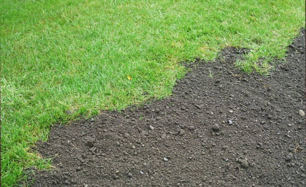 The Cheapest Ways to Cover Up Exposed Dirt in the Backyard
