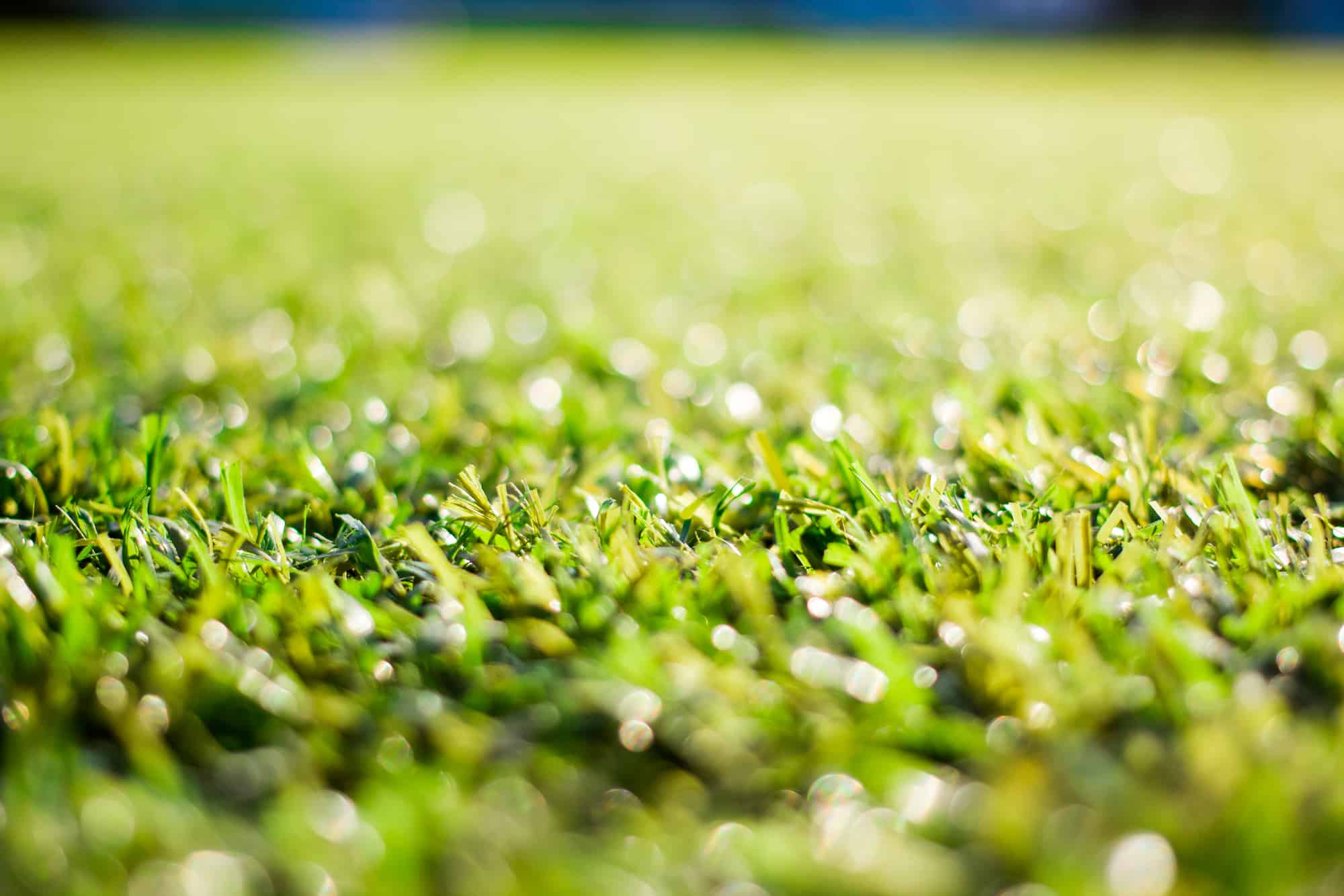 Artificial Grass vs. Concrete: Cost, Uses, Disadvantages – Captain Patio