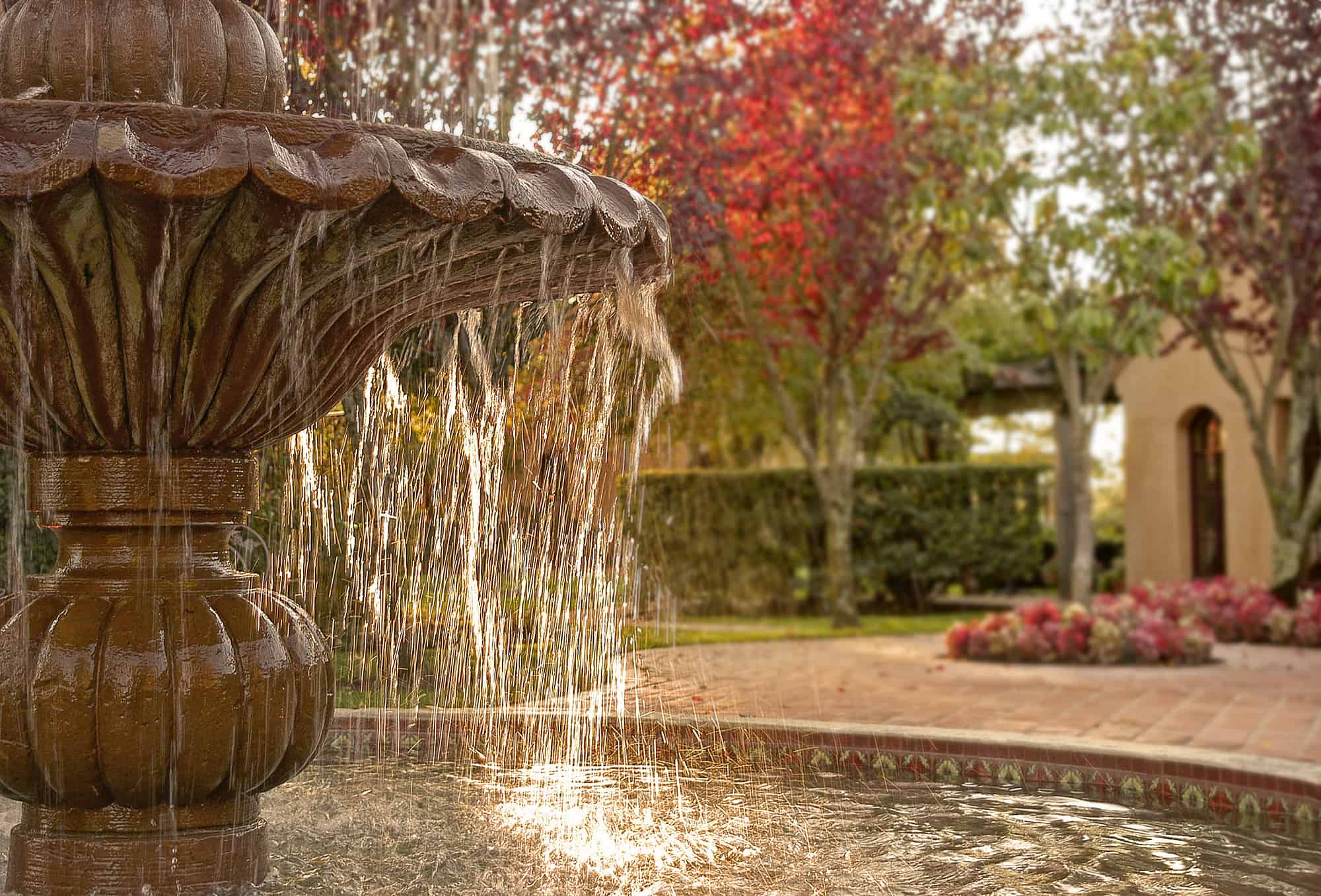 How to Stop an Outdoor Water Feature From Smelling Captain Patio