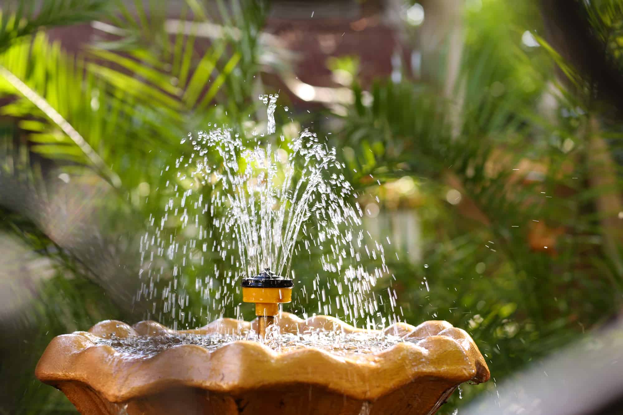 How Much Do Outdoor Fountains Cost To Run? – Captain Patio