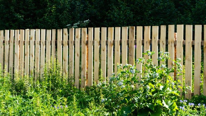 5 Ways to Help Determine Which Fence is Yours