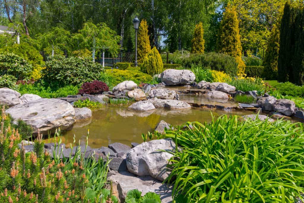 beautiful pond with no muck and a pleasant odor