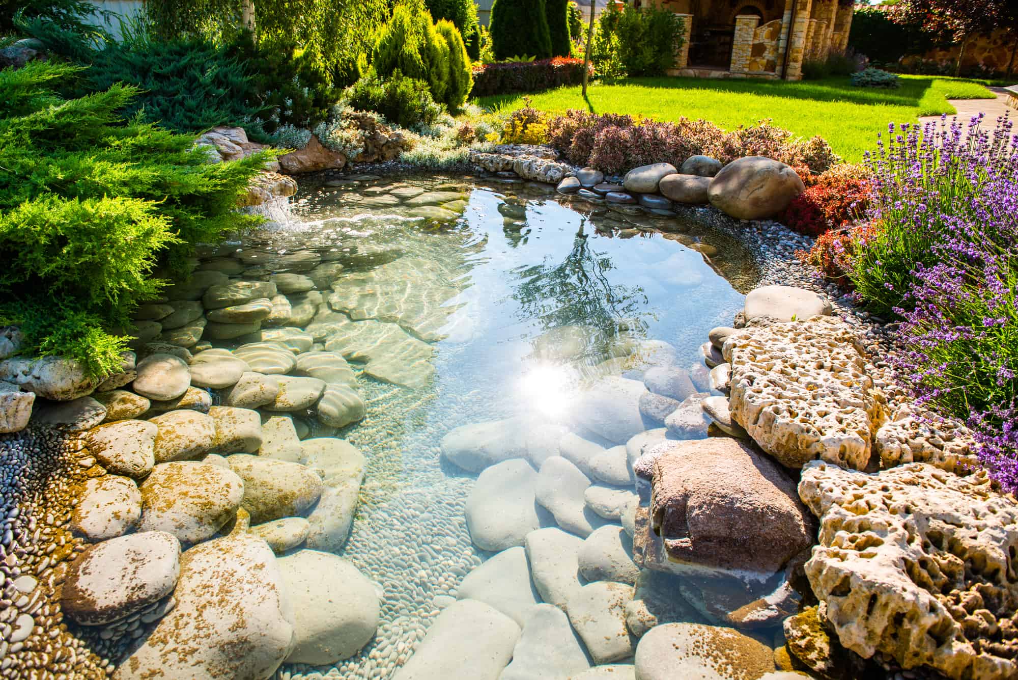 How to Fix Your Pond Smell and Promote Healthy Water Captain Patio