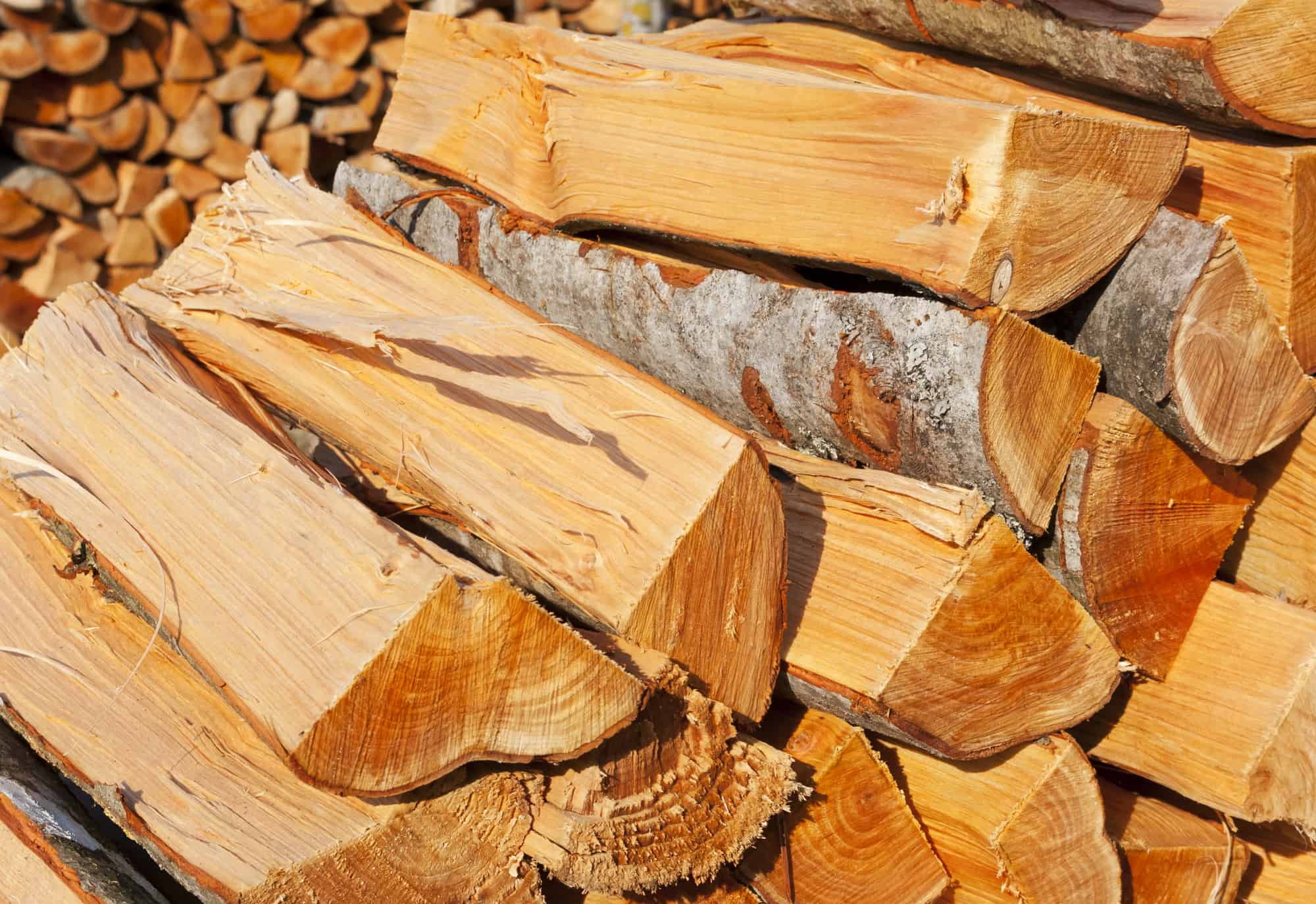 How To Store Firewood To Avoid Termites Captain Patio